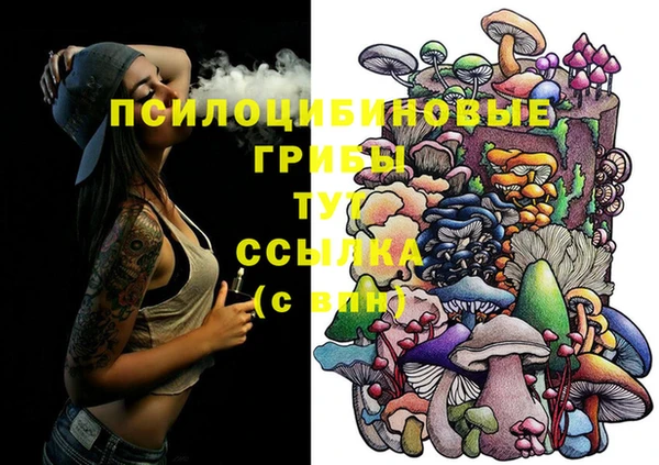 ALPHA PVP Алексин